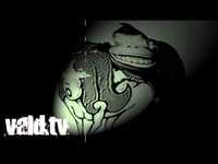 pochette album Donkey punch