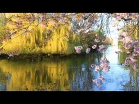 pochette album A sense of wonder