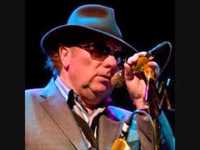 pochette album Boogie chillen