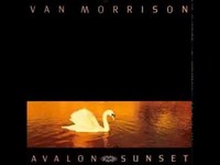 pochette album Contacting my angel