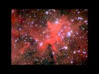 pochette album Daring night