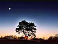 pochette album Here comes the night