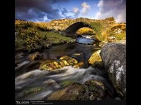 pochette album I'm tired joey boy