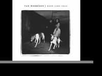 pochette album In the afternoon