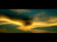 pochette album Lover come back