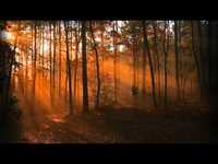 pochette album Memories