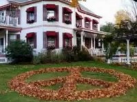 pochette album Old old woodstock