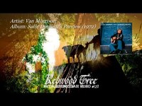 pochette album Redwood tree