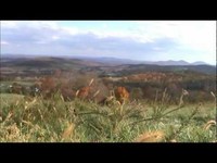 pochette album The beauty of the days gone by