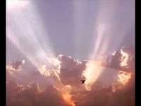 pochette album The master's eyes