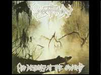 pochette album Flowers of my youth