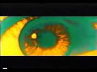 pochette album Dying for it