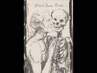 pochette album The plunderer