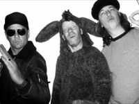 pochette album Stupid