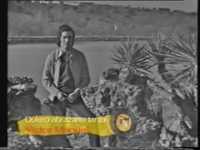 pochette album Quiero abrazarte tanto