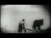 pochette album Animalé