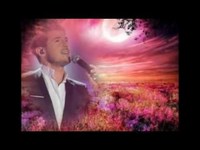 pochette album Amore puro