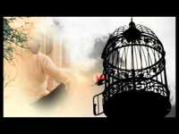 pochette album Je ne suis qu'un homme