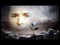 pochette album Mea culpa