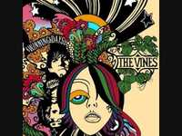 pochette album Amnesia