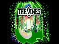 pochette album In the jungle