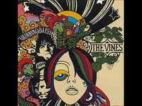 pochette album Rainfall