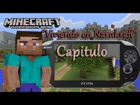 pochette album Indispensable