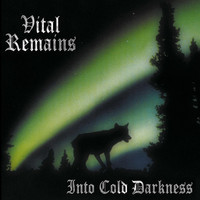 pochette album Into cold darkness