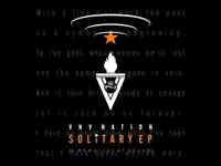 pochette album Fallout