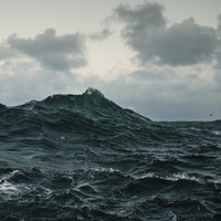 pochette album Acetate