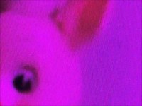 pochette album Nite train