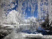 pochette album River