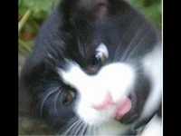 pochette album Racing with the sun