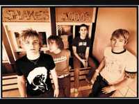 pochette album Fall to pieces