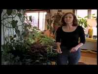 pochette album Drown