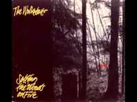 pochette album Good luck morning