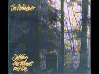 pochette album Old crow