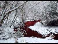 pochette album River blood