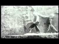 pochette album Stir the ashes