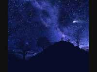 pochette album Straight to the stars