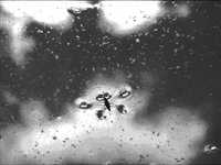 pochette album Full of tension