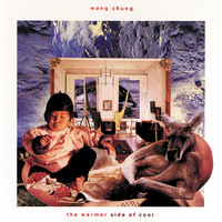 pochette album Big world