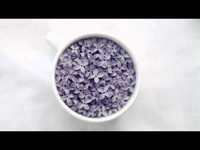 pochette album Jar of love