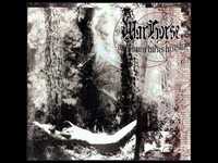 pochette album Black acid prophecy