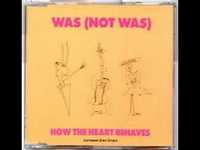 pochette album How the heart behaves