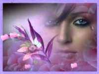 pochette album A sunday kind of