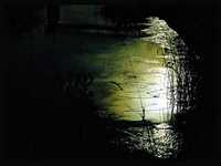 pochette album Heaven's hung in black