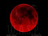 pochette album No way out of here