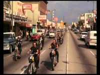 pochette album One tribe