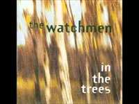 pochette album Born afire